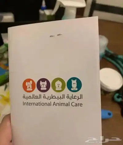 كلب من البيشون فريز الفرنسي index