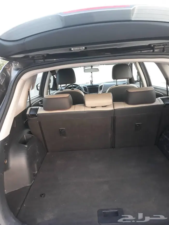 شانجان. C75 2019 2