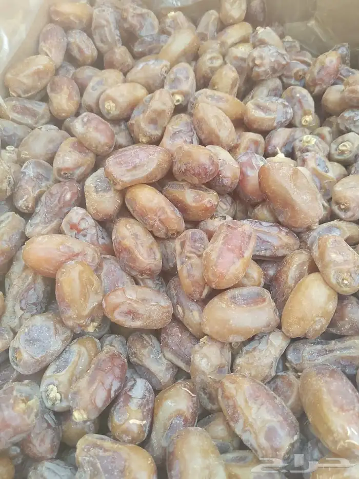تمر خلاص الشرقيه 7