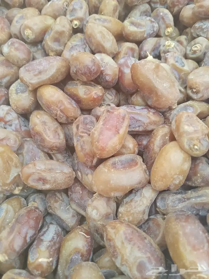 تمر خلاص الشرقيه 6