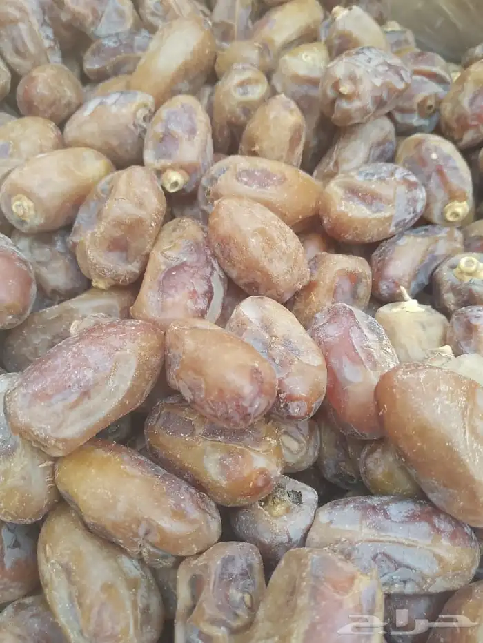 تمر خلاص الشرقيه 1