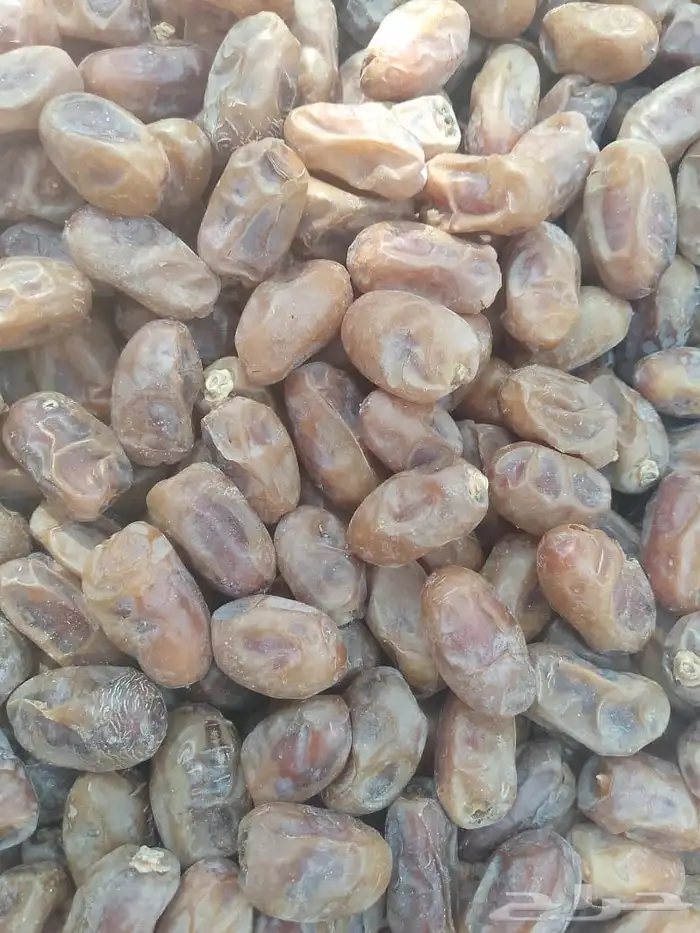 تمر خلاص الشرقيه 5