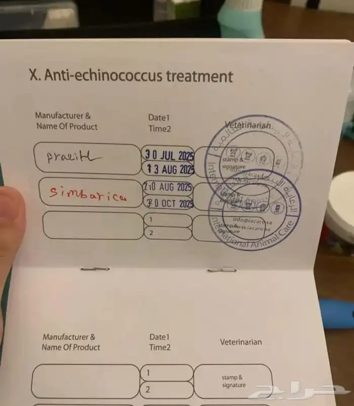 كلب من البيشون فريز الفرنسي 5