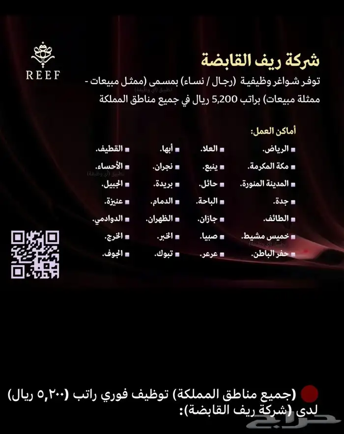 خدمات إلكترونية شاملة واحترافية 2