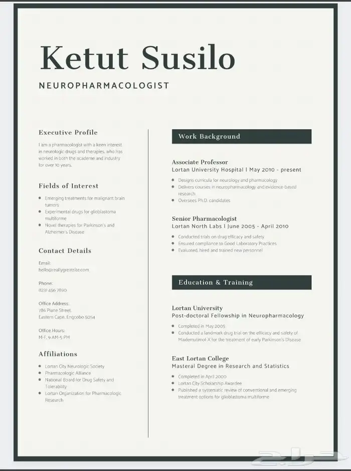 تصميم سيره ذاتيه احترافيه CV 1