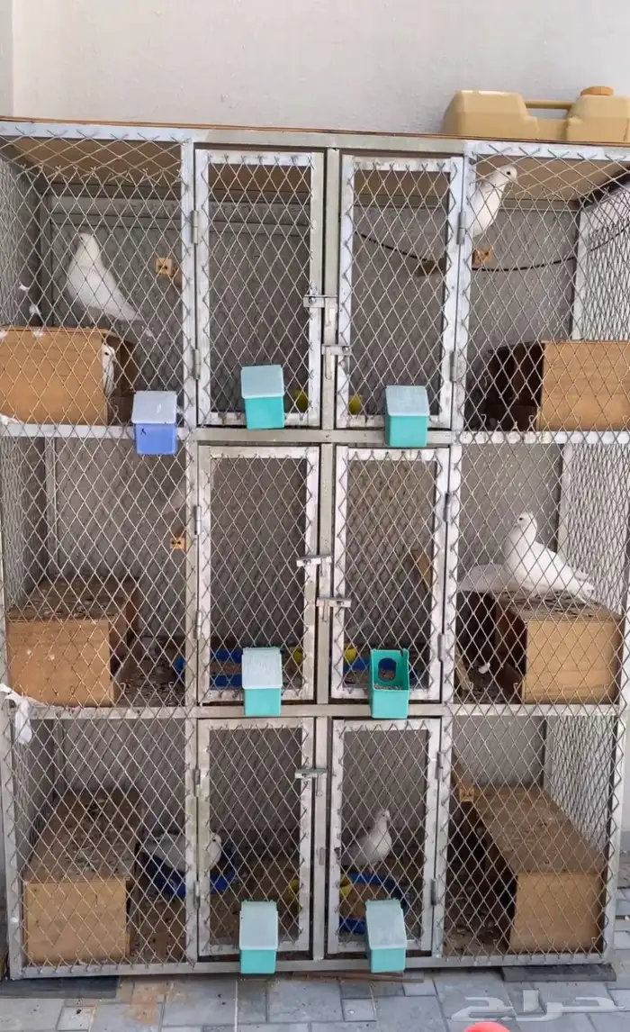 شبك ثقيل 6 محاكر 0