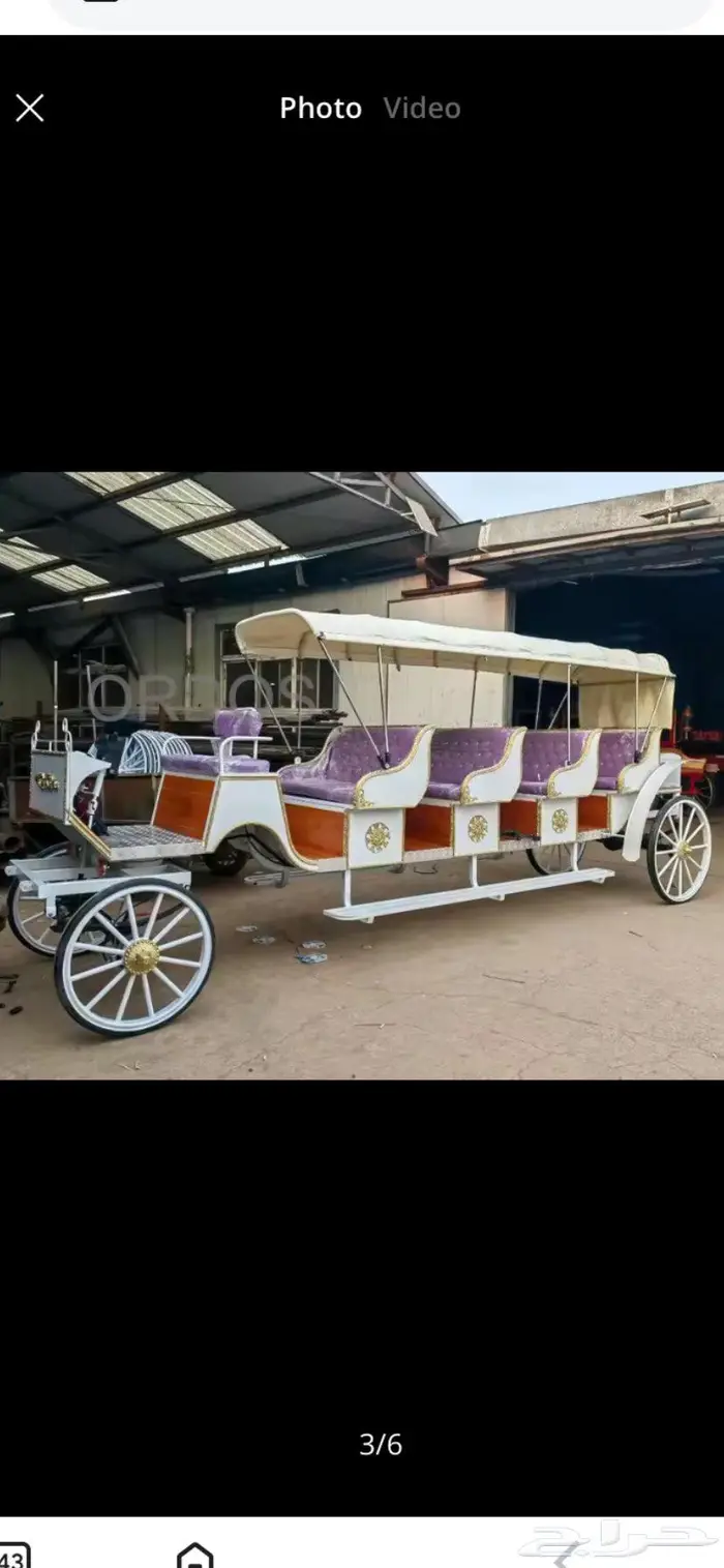 حنتور عربه خيل 0