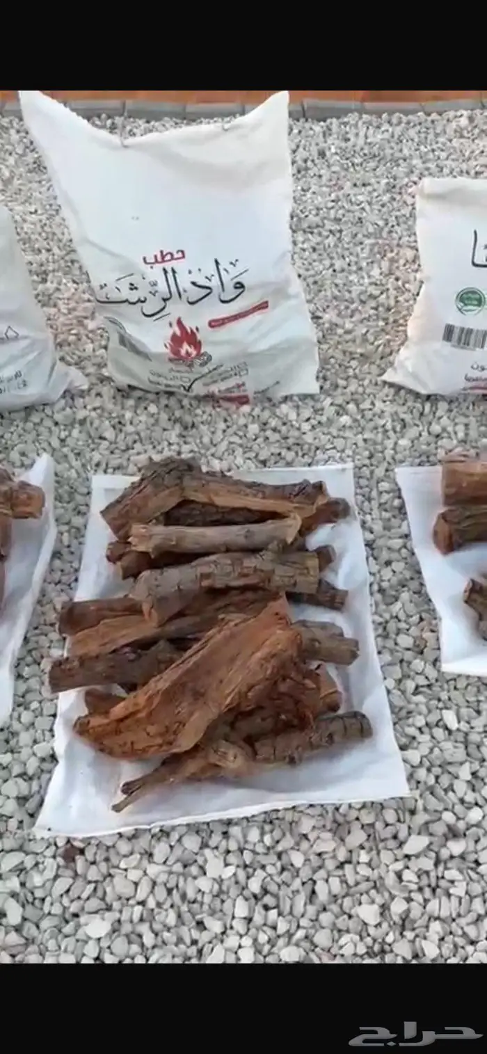 حطب أشجار الخوخ من مزارع تبوك 1