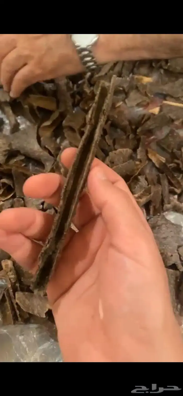 قرميد هندي 0