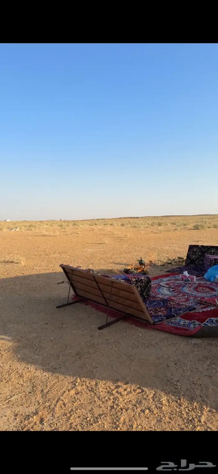 طلعة برية وقت العصر   . 0