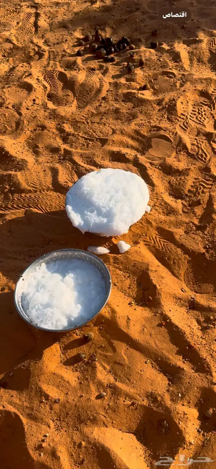 خلفه وضحى حدرها بكره 0