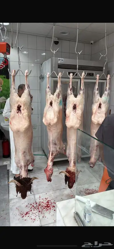 نعيمي سواكني نعيمي كشميري مفروم عجل وغنم index