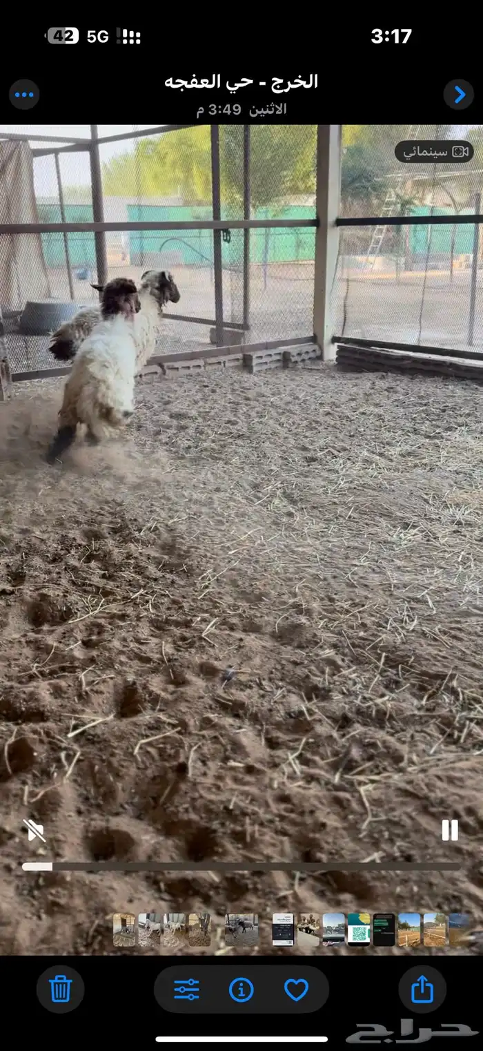 هرافي نعيم 2