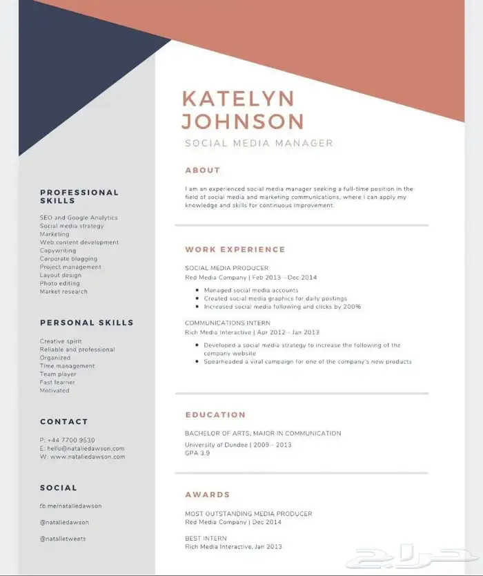 تصميم سيره ذاتيه احترافيه CV 5