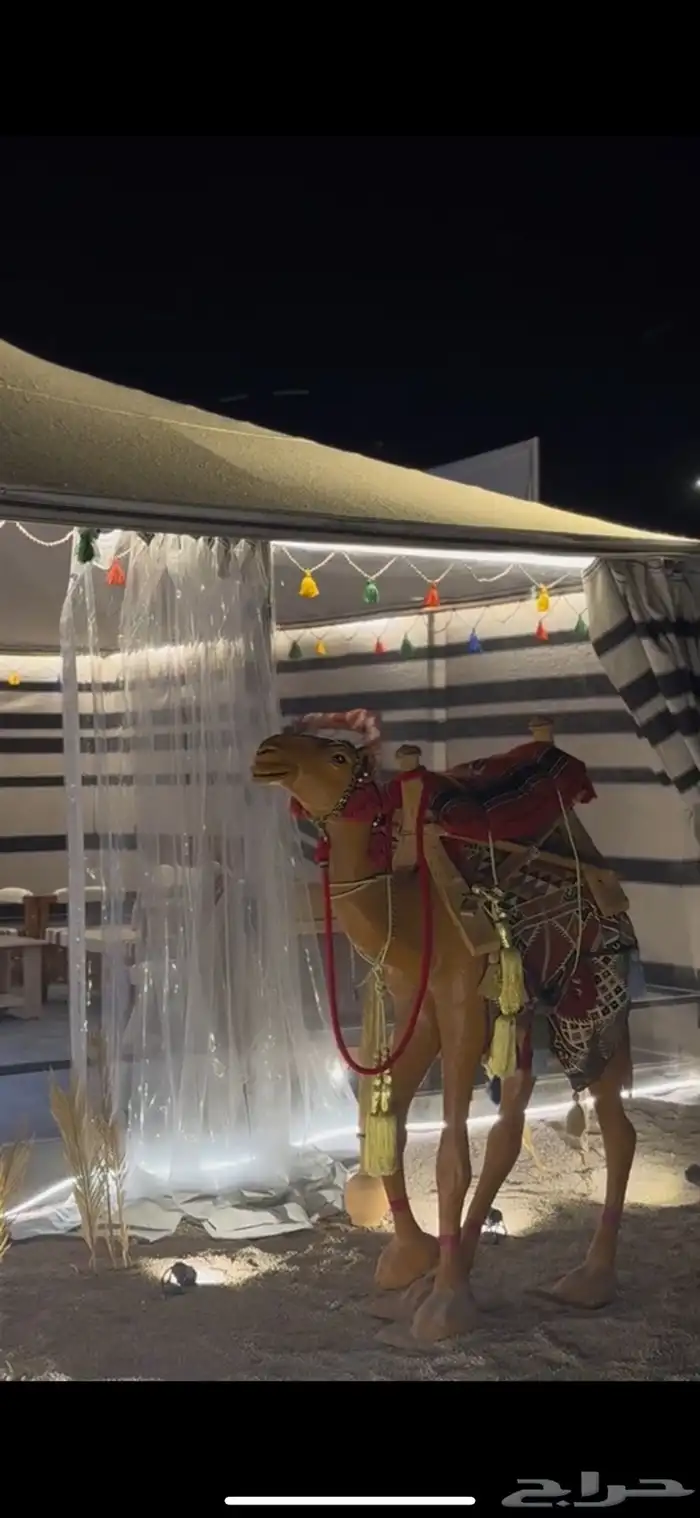 فرصة استثمارية بالاحساء 3