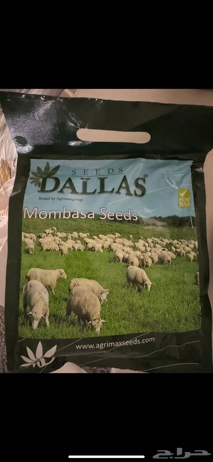 بذور بونيكام مومباسا 0