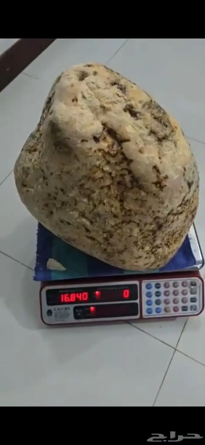 عنبر خالص سعر خيالي للكيلو 2