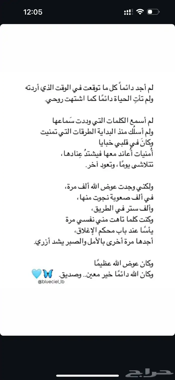 قط كيتن سكوتش 6