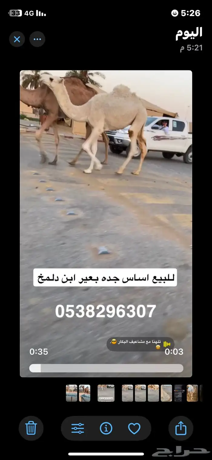 قعود جده ب ابن دلمخ 0