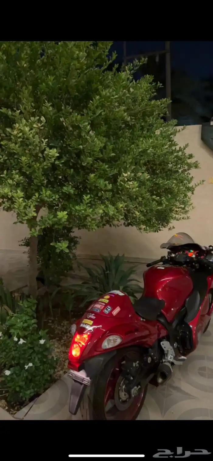 هايبوزا 2020 1