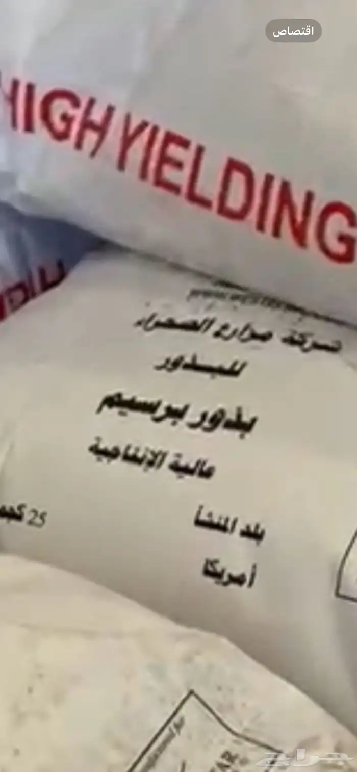 بذار برسيم امركي رقهم 1 1