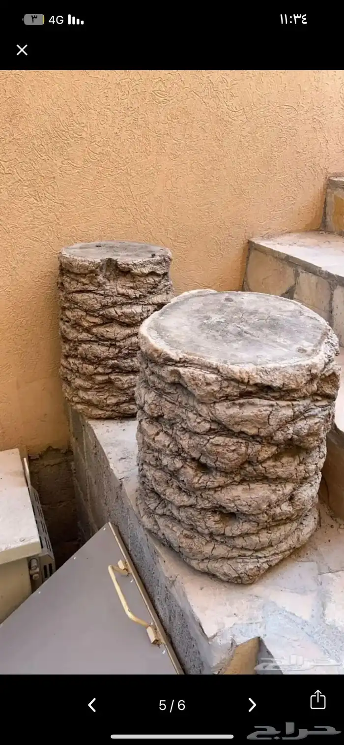 سعف نخل للحدائق والزينه 7