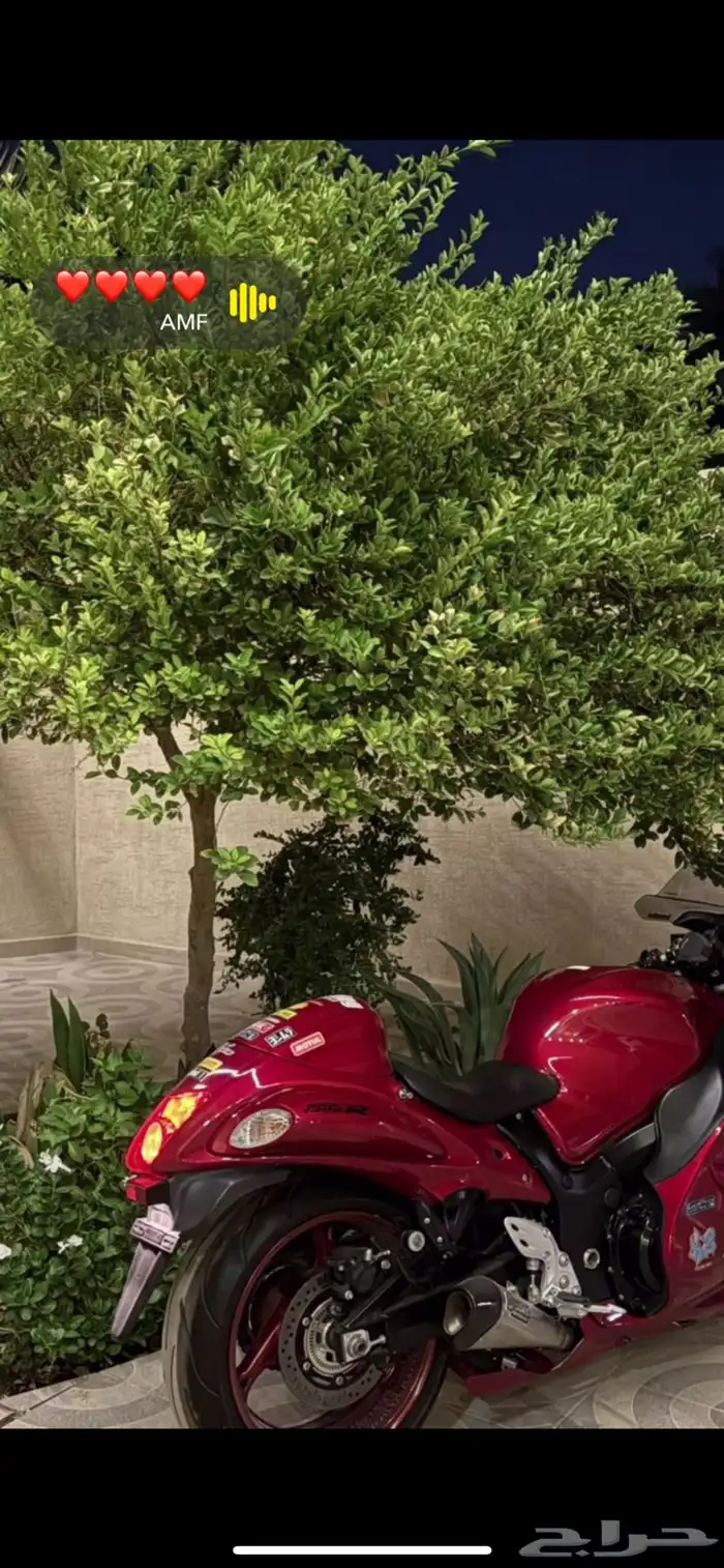 هايبوزا 2020 2