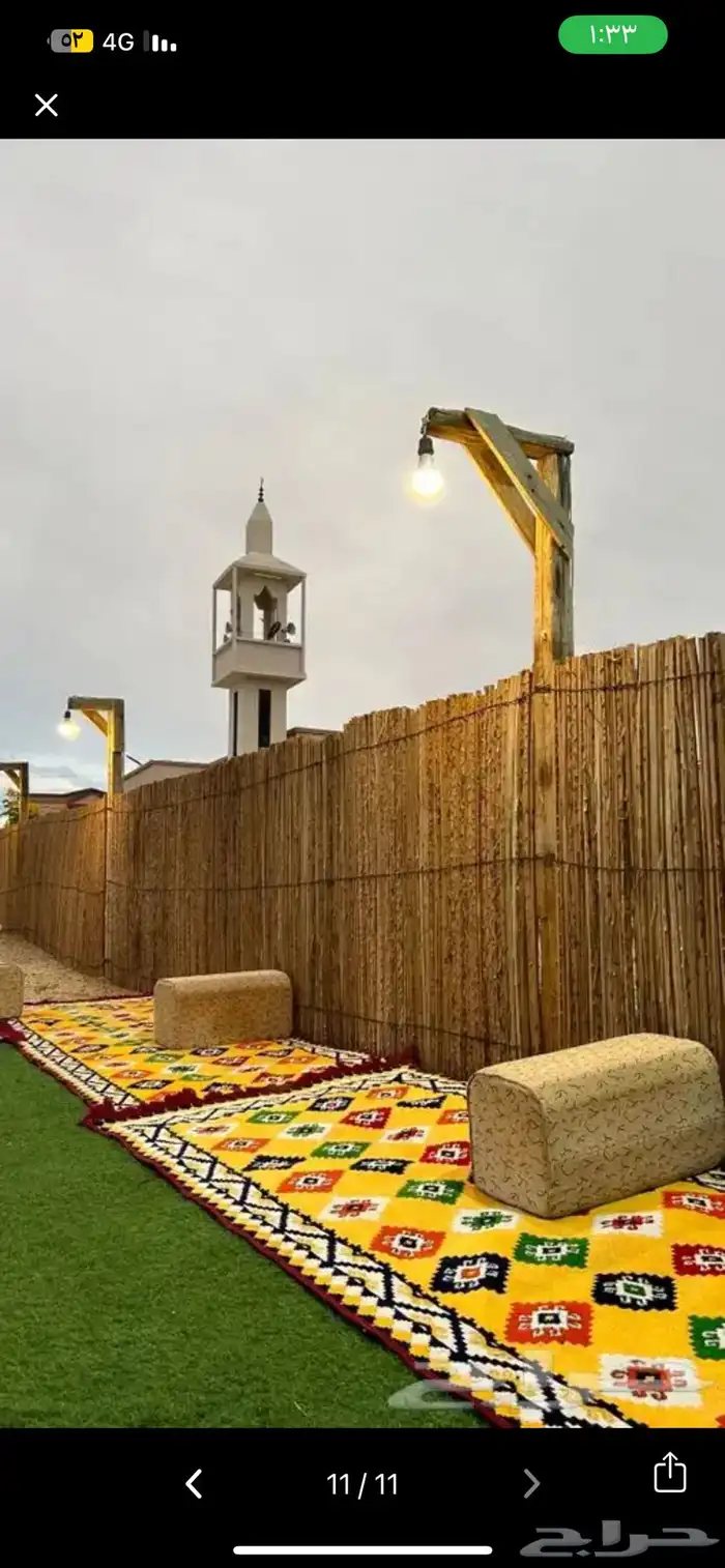 سعف نخل للحدائق والزينه 9