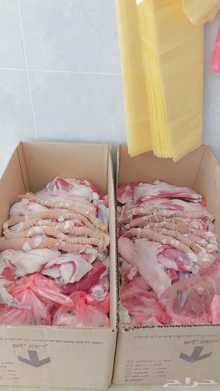 ملحمة النسيم البلدي تيوس خرفان حشوان صغير ويوجد توصيل 9