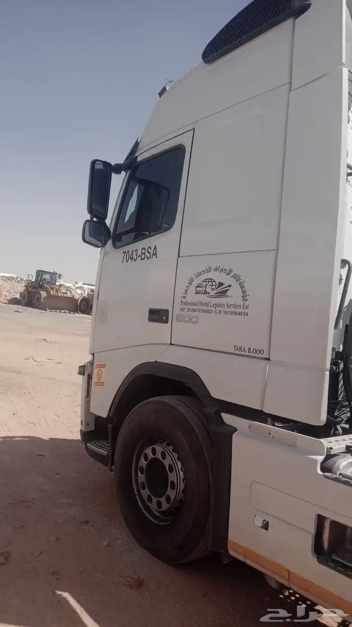 راس فلفو موديل 2013 1