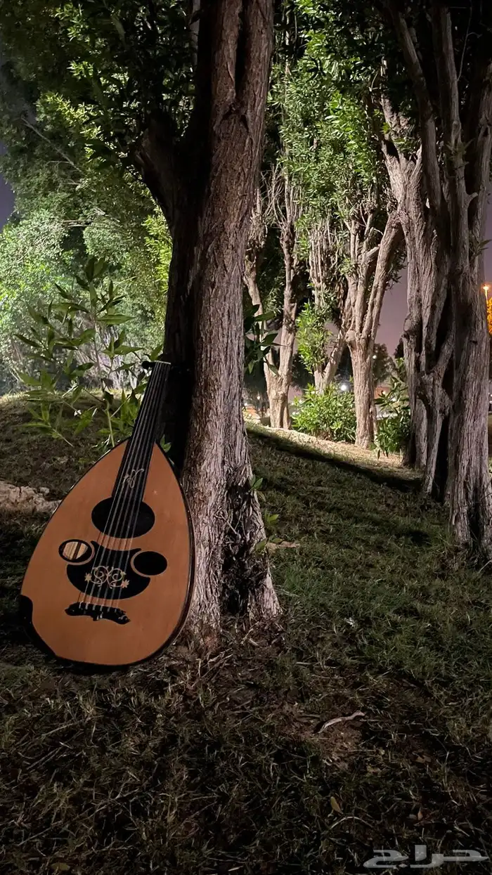 عازف عود محترف 0