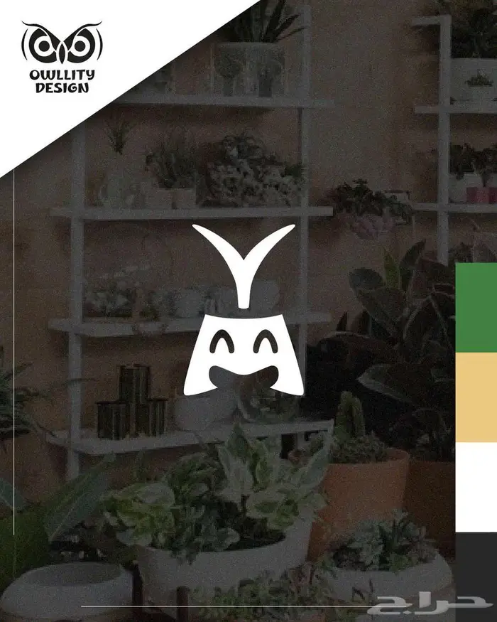 باحث عن عمل (حضوري أو عن بعد) مصمم جرافيك 0