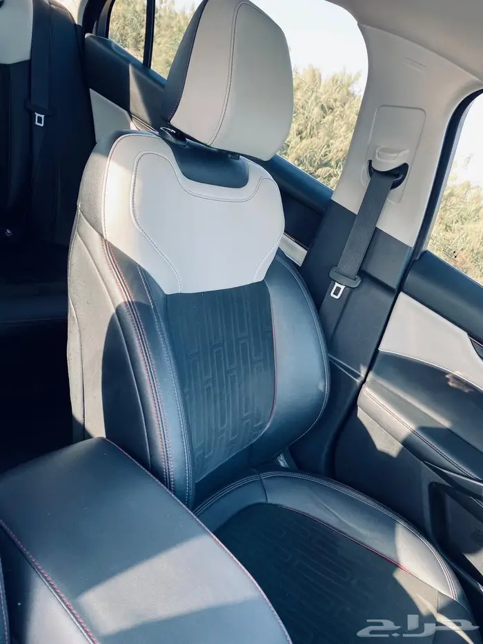 توروس أسود مالك أول 7