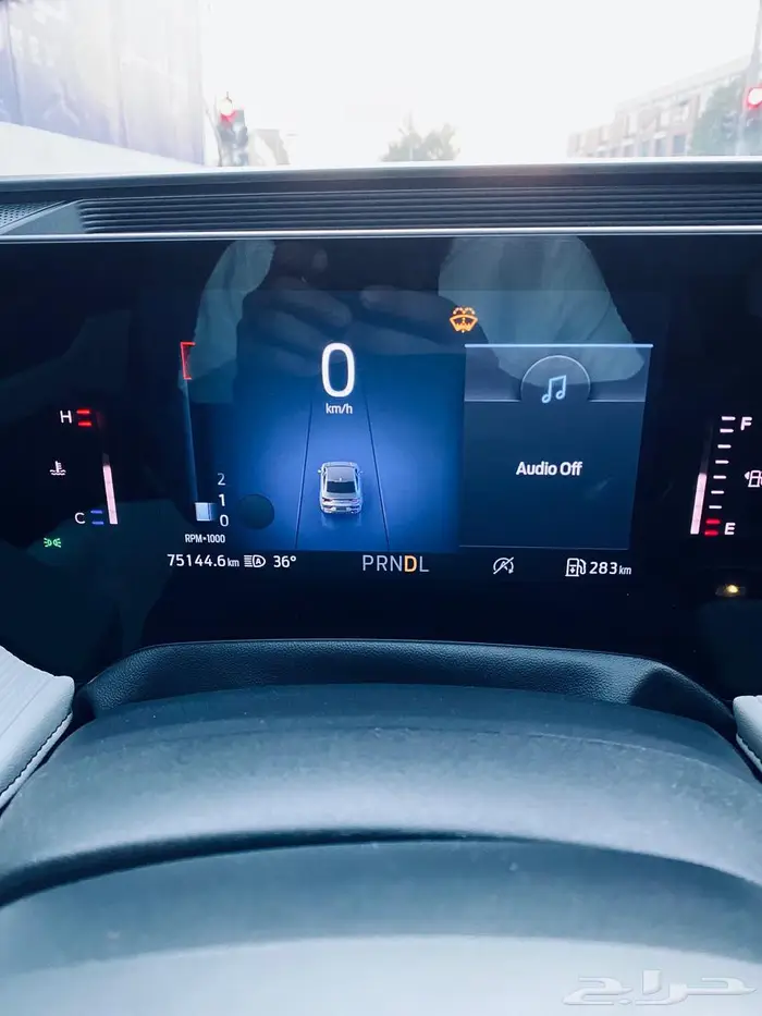 توروس أسود مالك أول 22