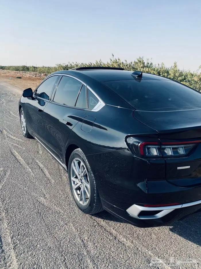 توروس أسود مالك أول 19