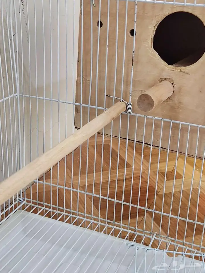 أقفاص طيور 3