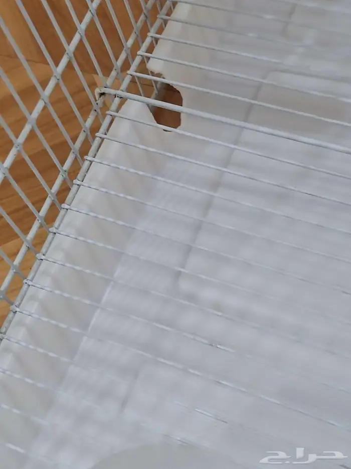 أقفاص طيور 2