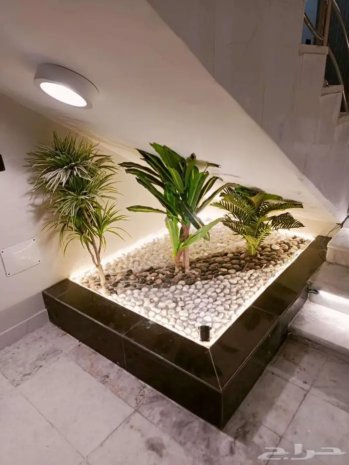 تنسيق حدائق جازان 3