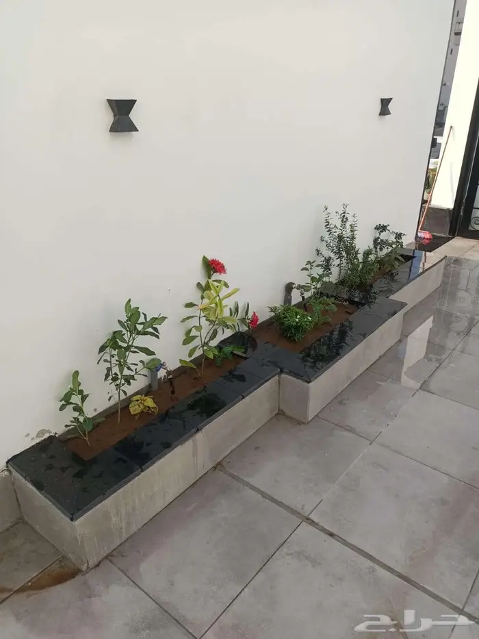 تنسيق حدائق جازان 12