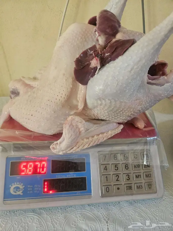 ذبح عندما يطلب العميل 0