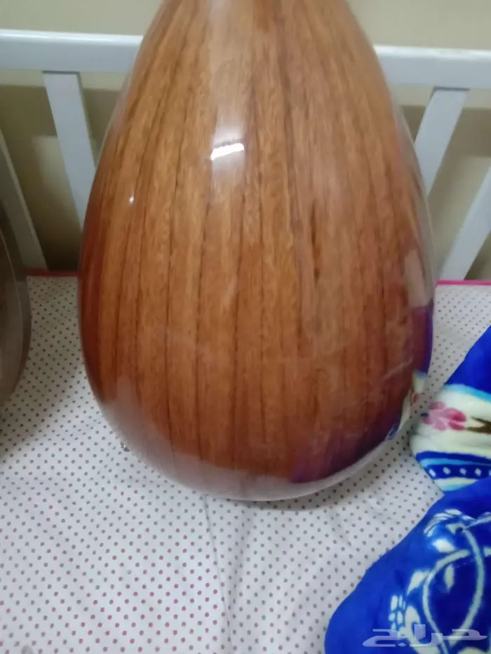 عود زرياب الاحساء قرية شقيق. 1