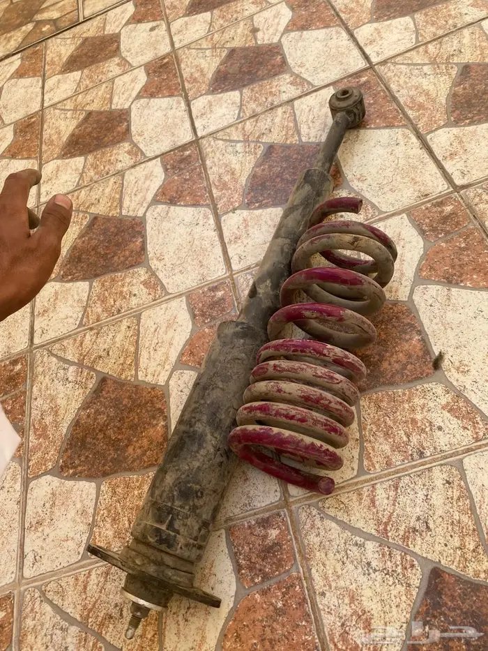 دوج مسعد 2015 1