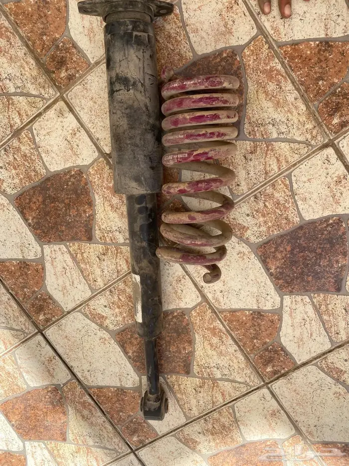 دوج مسعد 2015 3