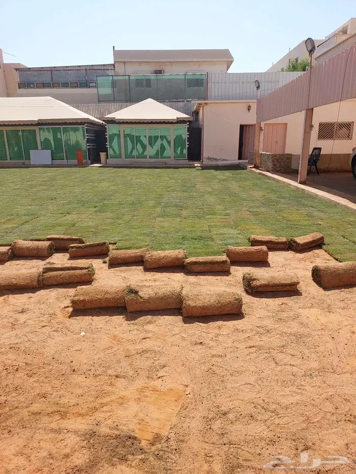 توريد وزراعه النخيل والثيل اعمال شبوك وشبكات الري 3