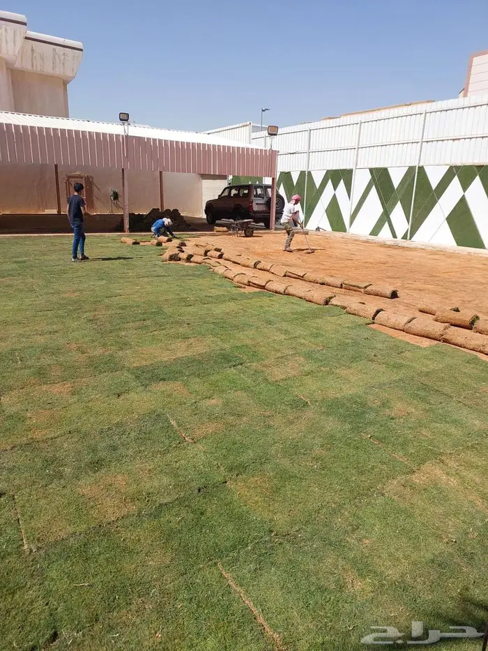 توريد وزراعه النخيل والثيل اعمال شبوك وشبكات الري 2