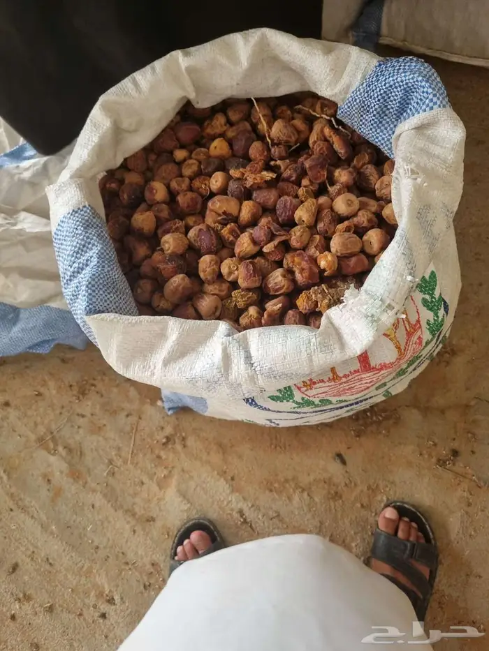 تمر علف للحلال 0