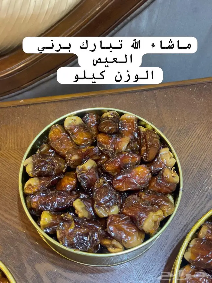 الطيب يأهل الطيب برني العيص 0