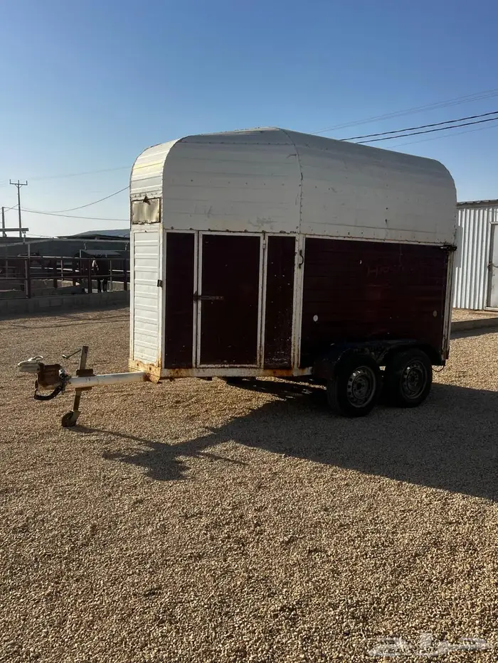 عربة خيل مصنع المشوح 2