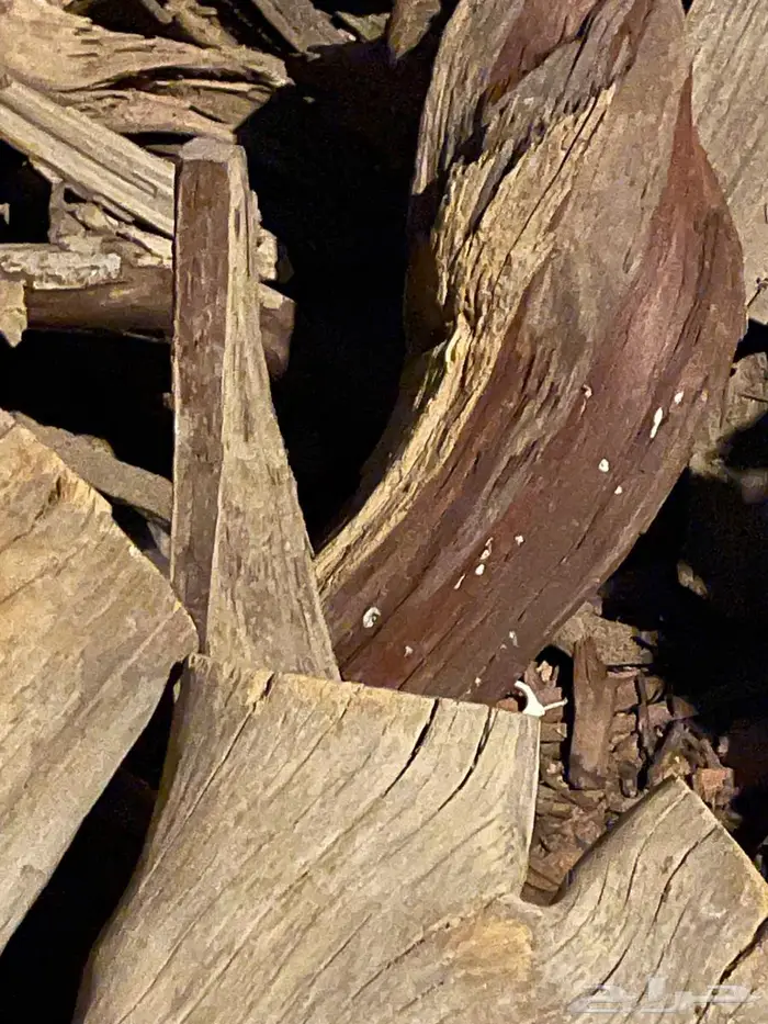 يابس شرط تواصل واتس اب 3