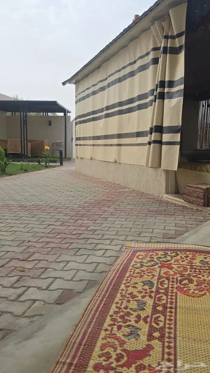 االباحه مشبات 5